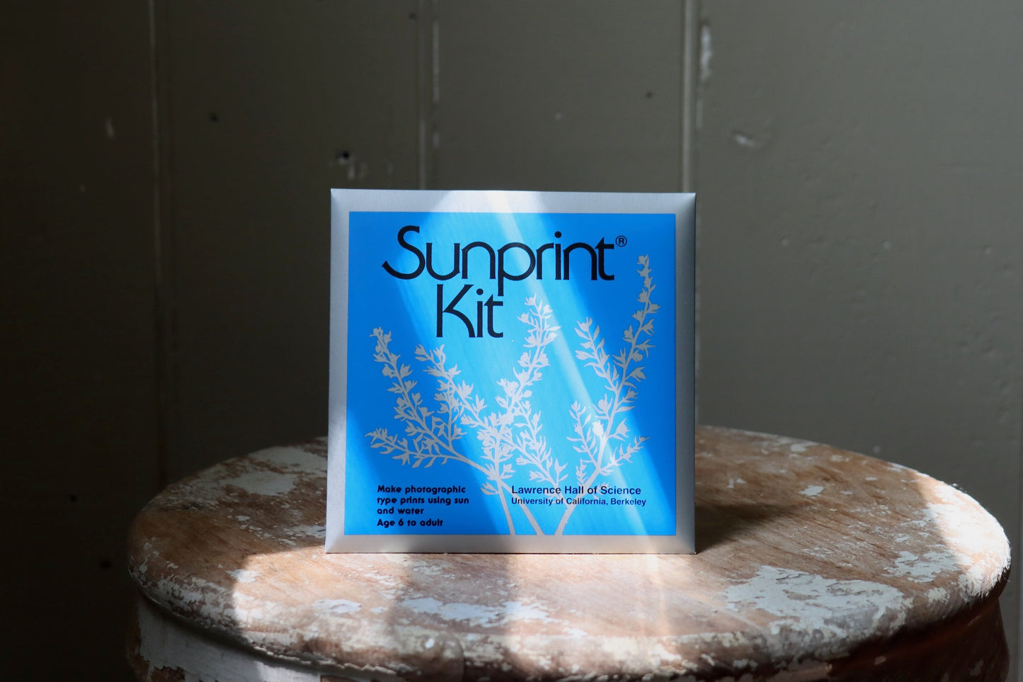 Sunprint Kit