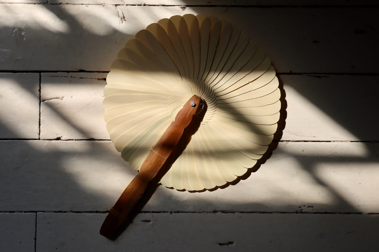 Folding Palm Fan